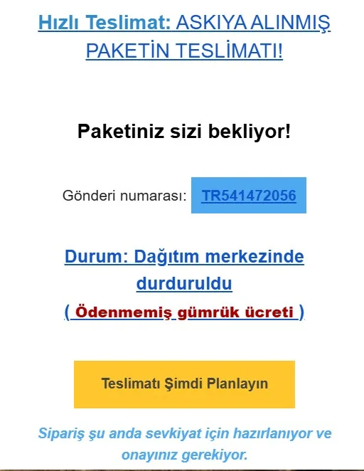 Dolandırıcılık Uyarısı: “Askıya Alınmış Paket Teslimatı” Maili